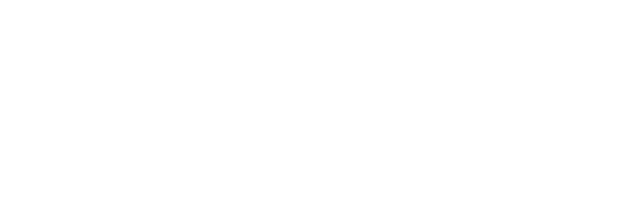 Logo Light